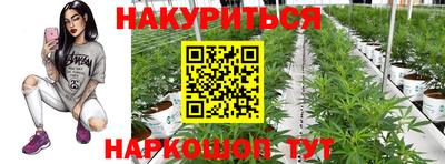 MDMA Premium VHQ Гай