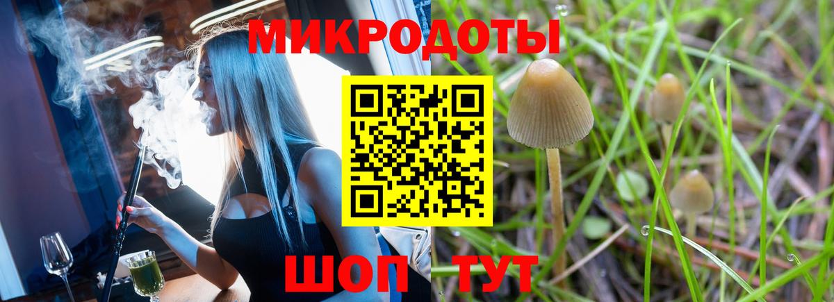 Златоуст  Псилоцибиновые грибы мухоморы  Вход с VPN 
