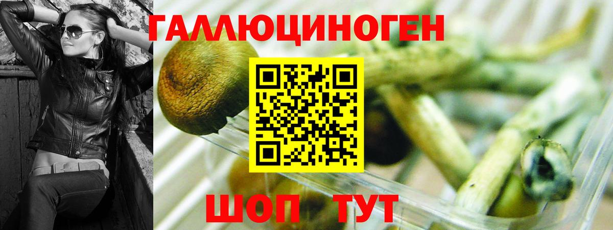 Псилоцибиновые грибы ЛСД Златоуст